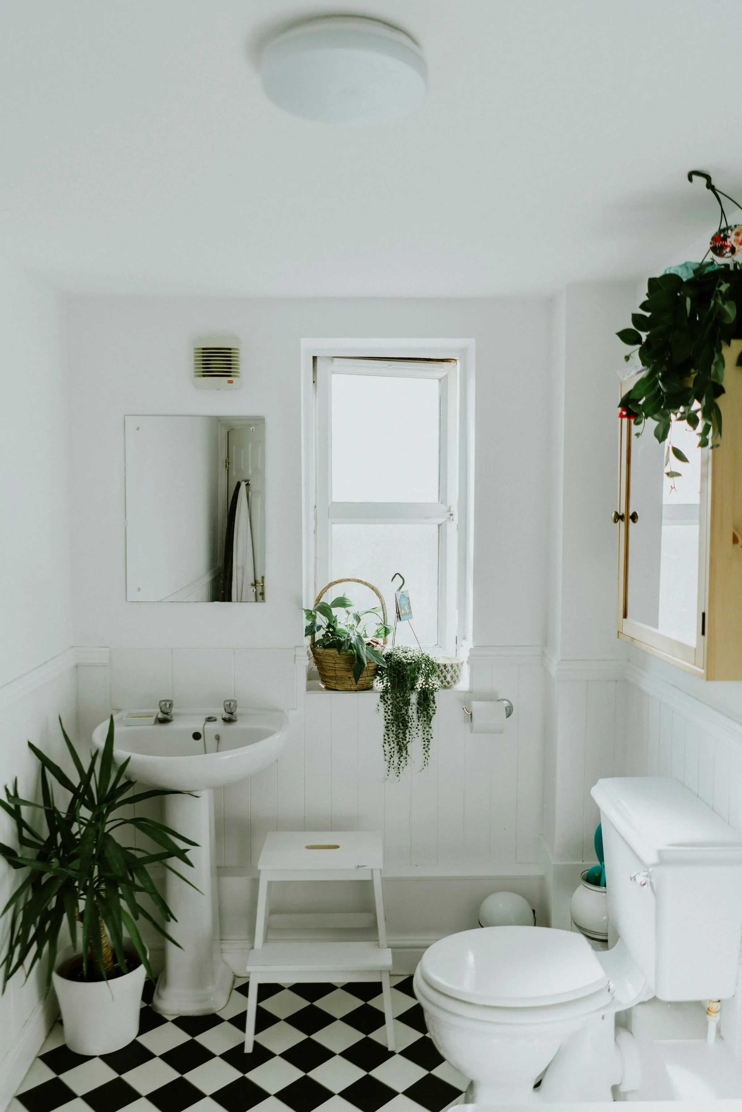 Freshly cleaned bathroom in a Springhead home